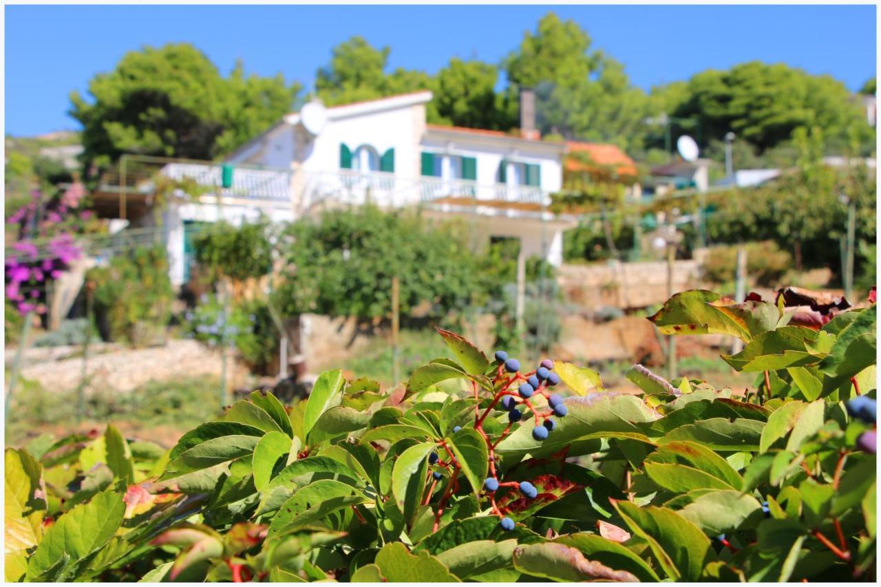 Apartment Katarina And House Marieta Dolac Exterior foto